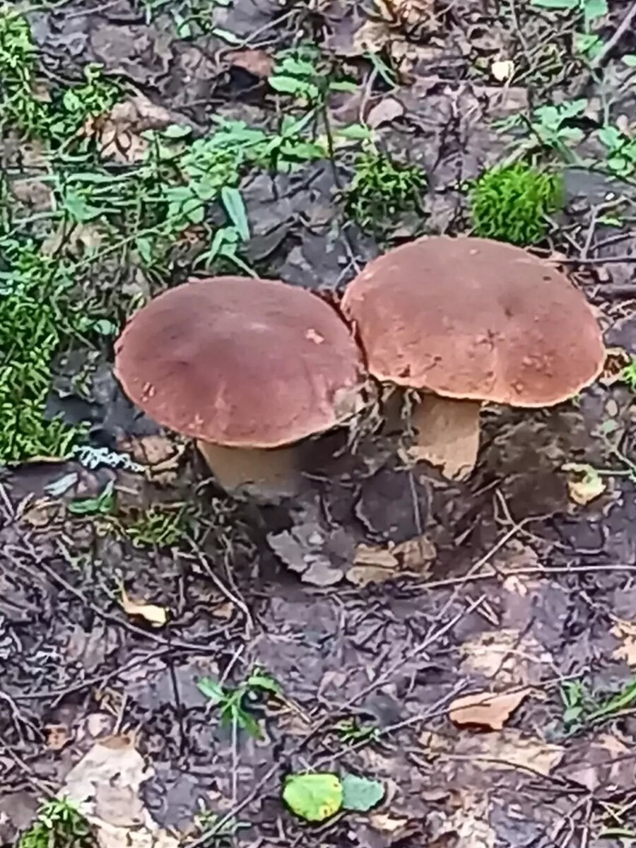     Источник: Вадим Мурый / vk