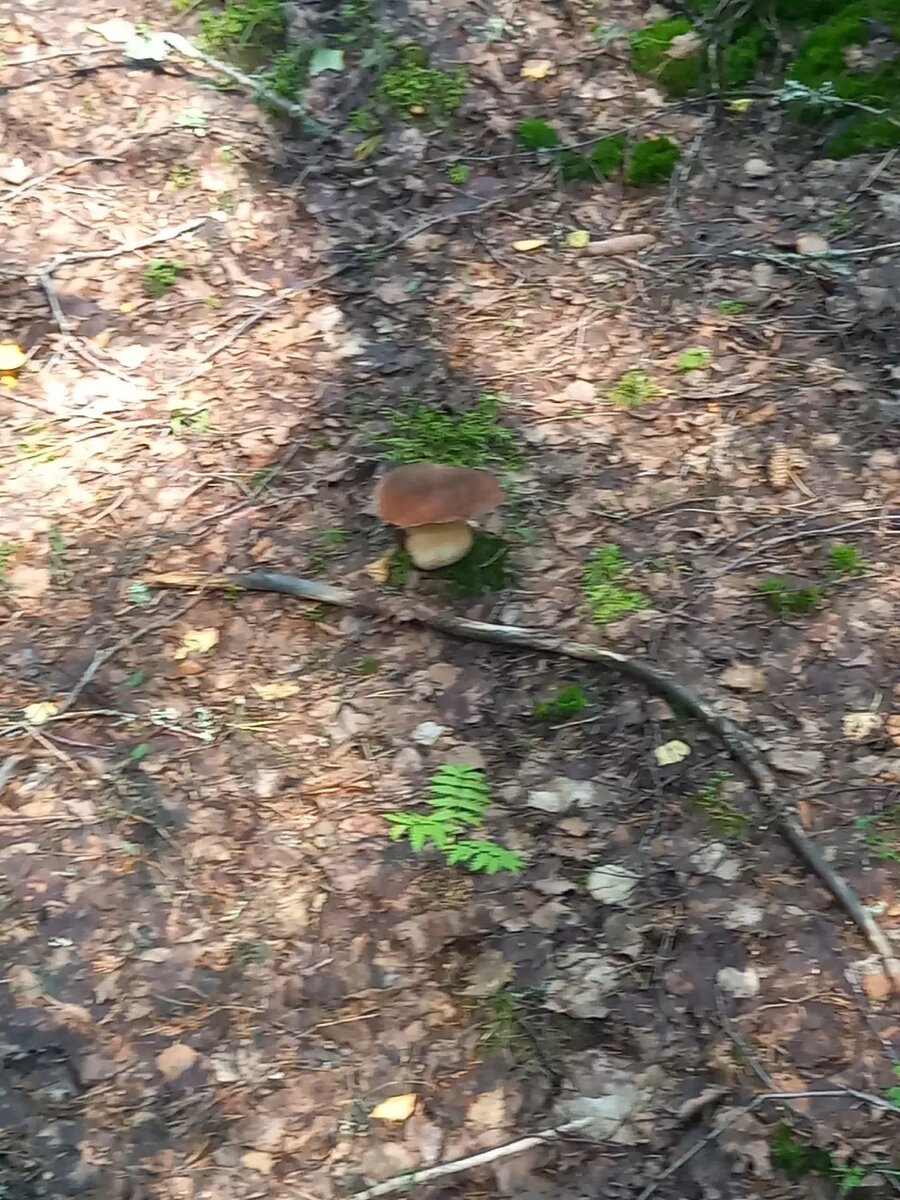     Источник: Вадим Мурый / vk