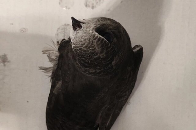    Фото: Предоставлено героем публикации