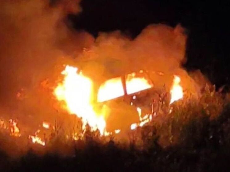     Фото ГУ МВД России по Иркутской области.