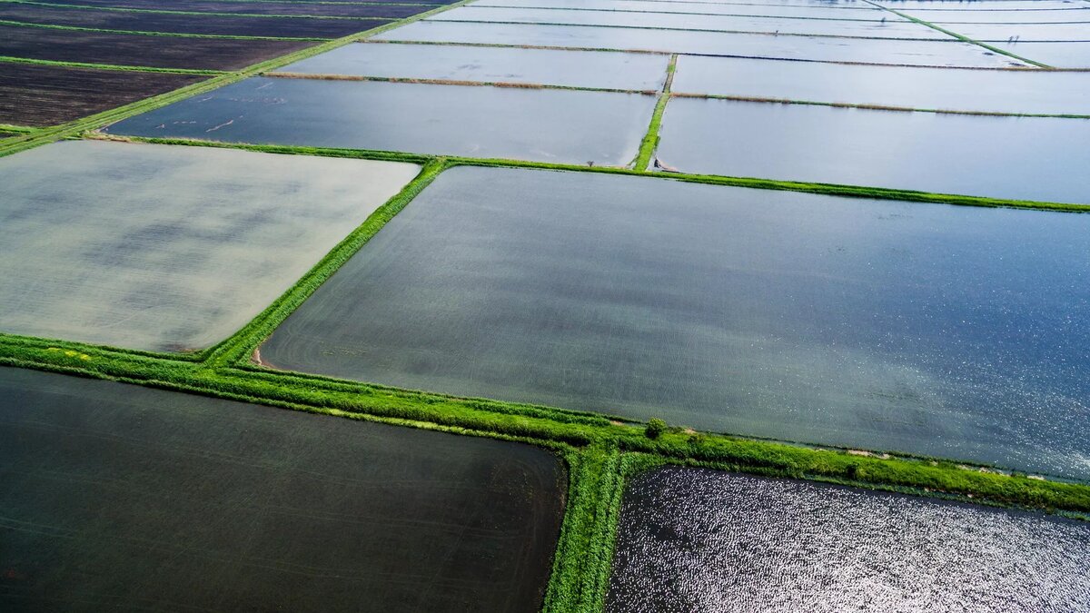 © Sputnik / Виталий Тимкив