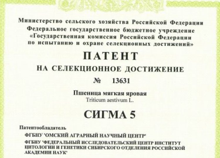    Омский АНЦ получил патенты на новые сорта важный зерновых культур