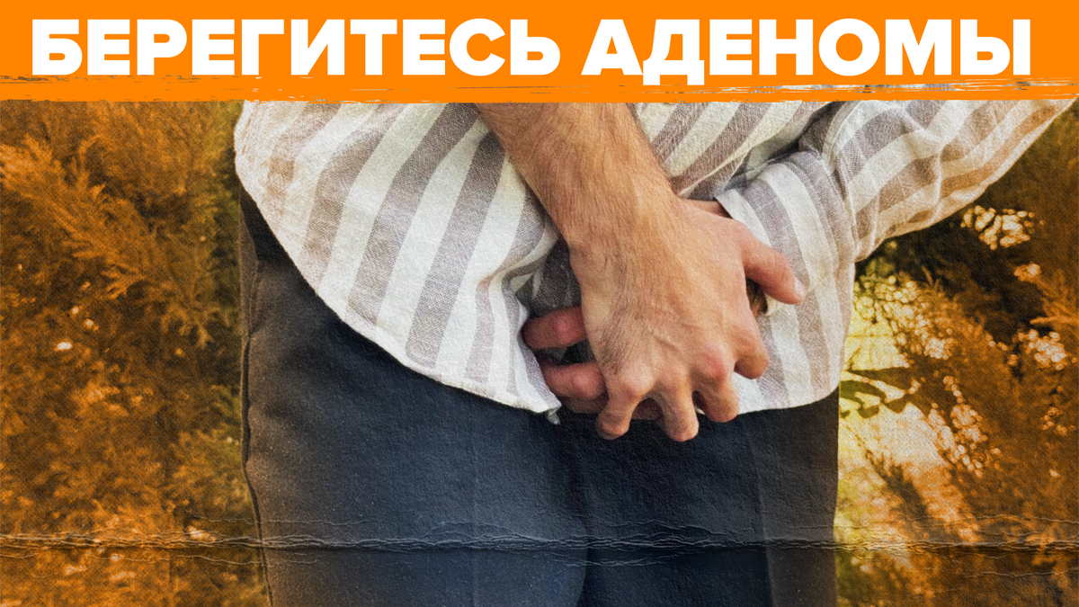 Фото: Телеканал «Краснодар»