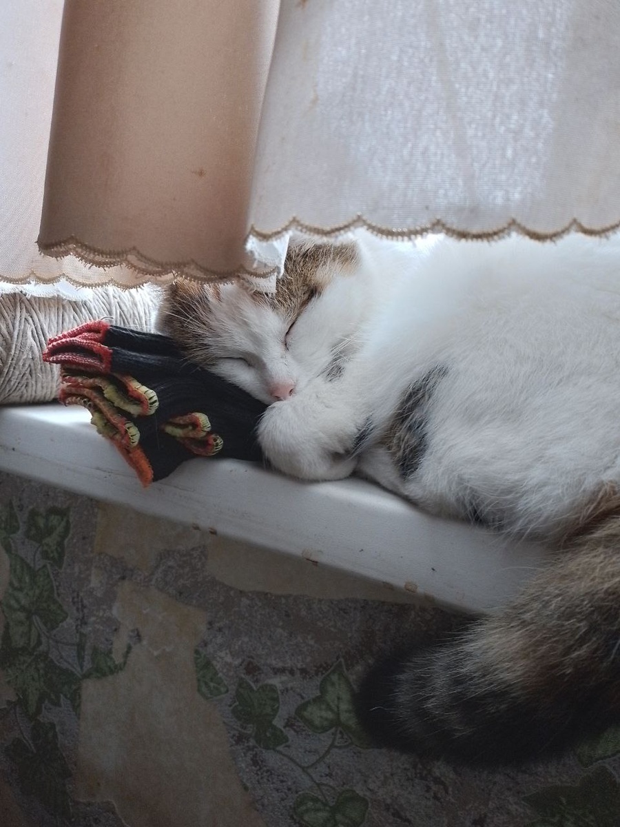Мир в душе проявляется так