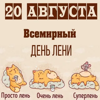 https://avatars.mds.yandex.net/i?id=b026b8788d37eaaabd1b76f31a156c03d49b7cda-9858428-images-thumbs&n=13