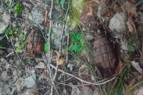     Источник: Управление Росгвардии по Тюменской области