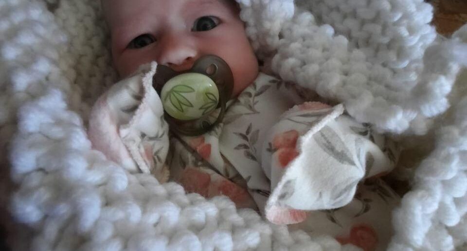    Министерство социального развития Московской области