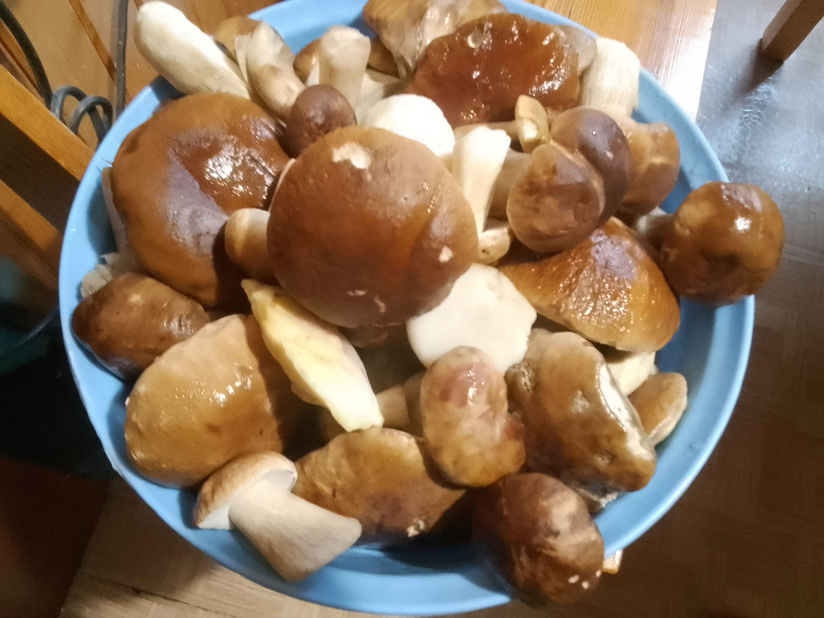 вот часть урожая