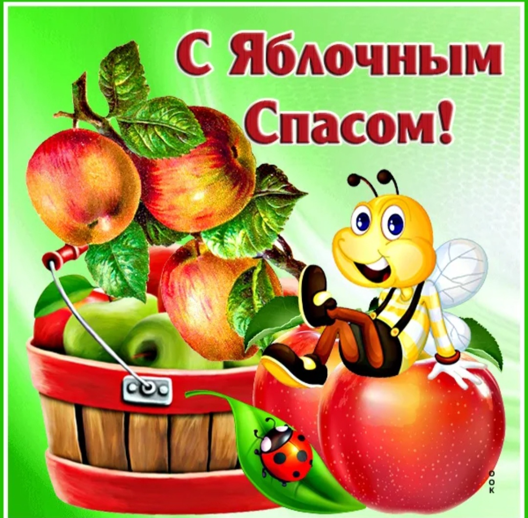 из интернета