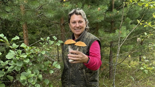 По грибы 🍄🍄🍄, прогулка по лесу .