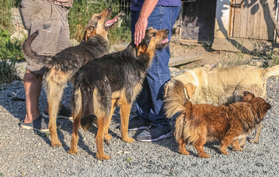 Фото: Гала Амарандо