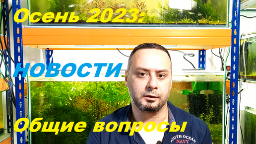 Осень 2023. Обо всем понемногу. (Архив от 5.10.2023)