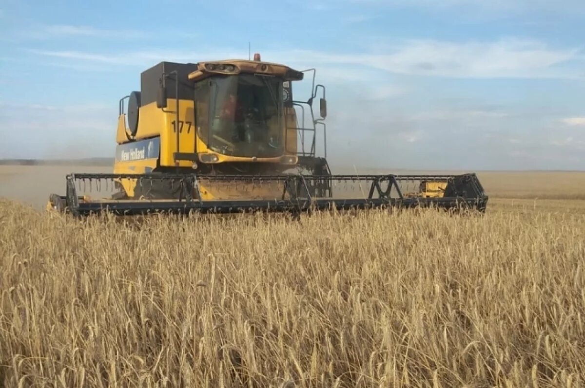    Ущерб аграриям Башкирии от дождей превысил 1 млрд рублей