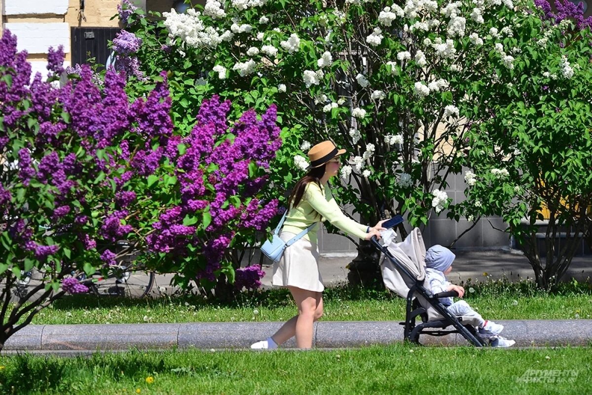    Синоптик Шувалов спрогнозировал теплую погоду на неделе в Подмосковье