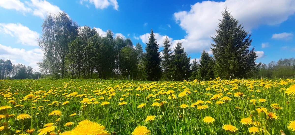 Красота же!