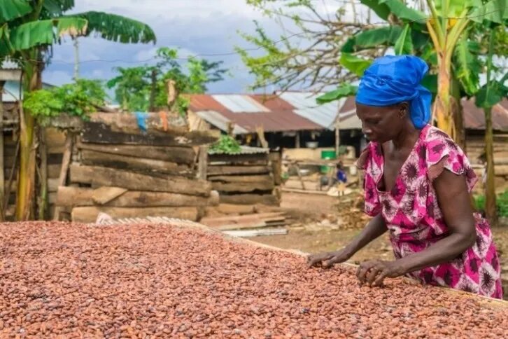    © fairtrade