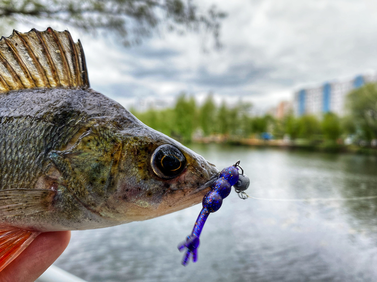 Фото Александра Абрамова