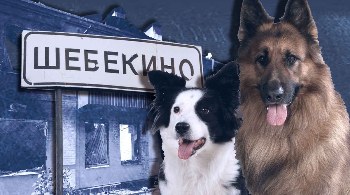    Коллаж: Daily Storm
