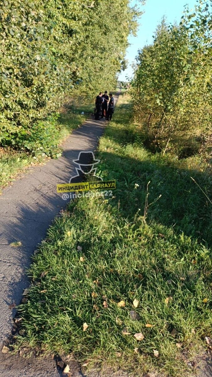    Собаку расстреляли в Мамонтово. Источник: "Инцидент Барнаул"