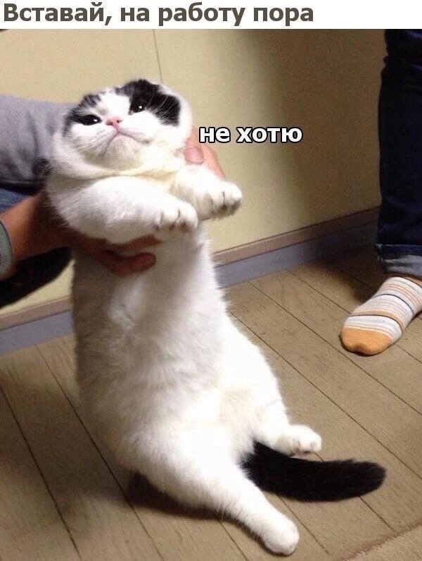 Именно такое у меня состояние было сегодня утром перед выходом на работу. 