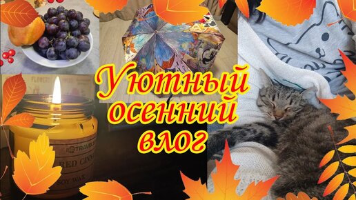 ОСЕННИЙ ВЛОГ_ ПОКУПКИ НА ОСЕНЬ НА ОЗОНЕ_ ОСЕННИЕ ФИЛЬМЫ_ УЮТНЫЙ ОСЕННИЙ ВЕЧЕР С ФИЛЬМОМ И ПЛЕДОМ