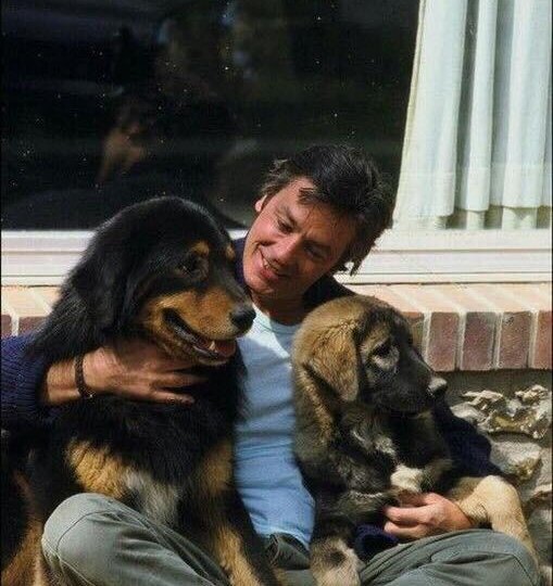 Светлой памяти Алена Делона