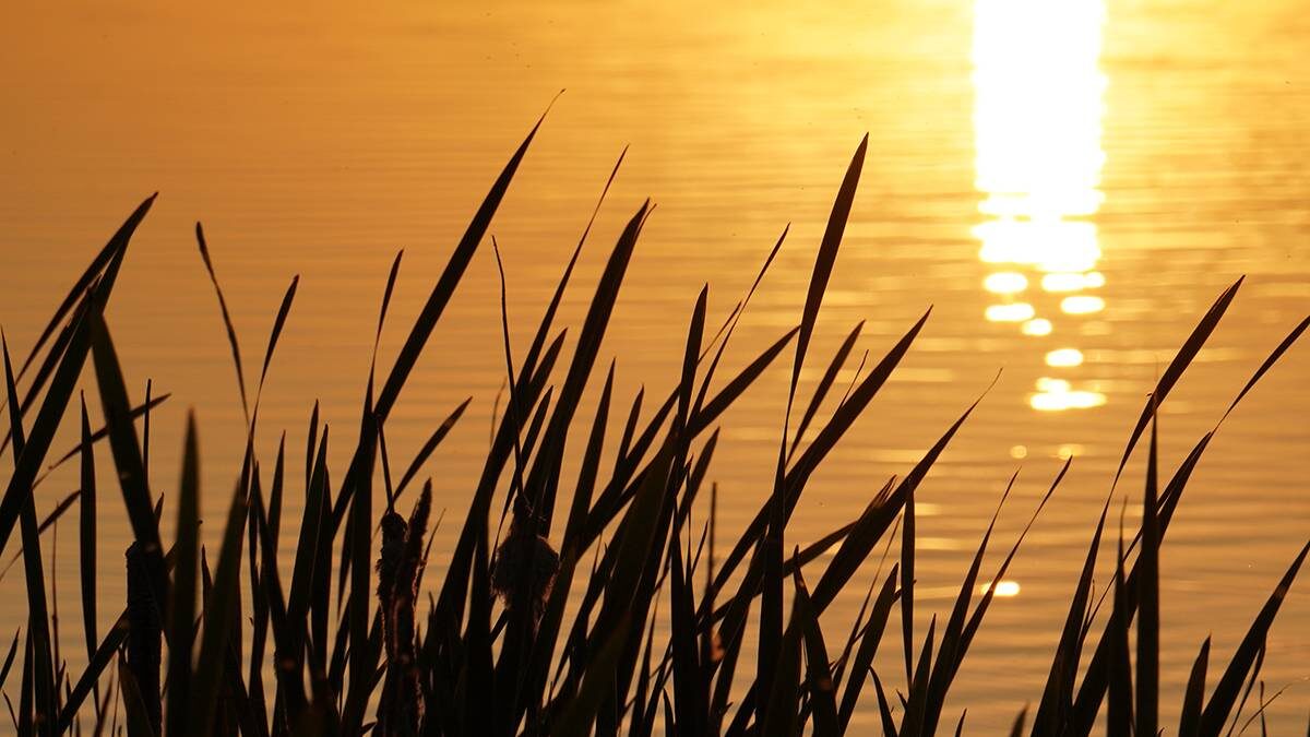    Фото: Анатолий Цымбалюк / Вечерняя Москва