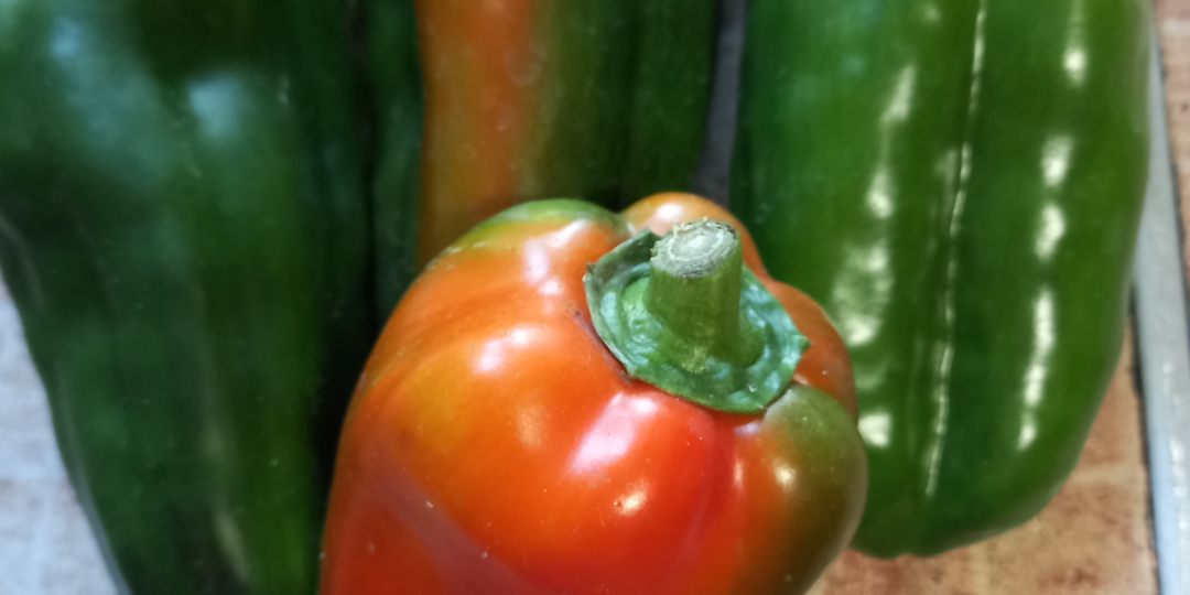 Гумат калия - это не калийная подкормка: заблуждение, которое подводит многих садоводов