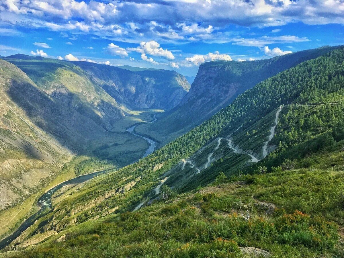 Источник Яндекс Картинки