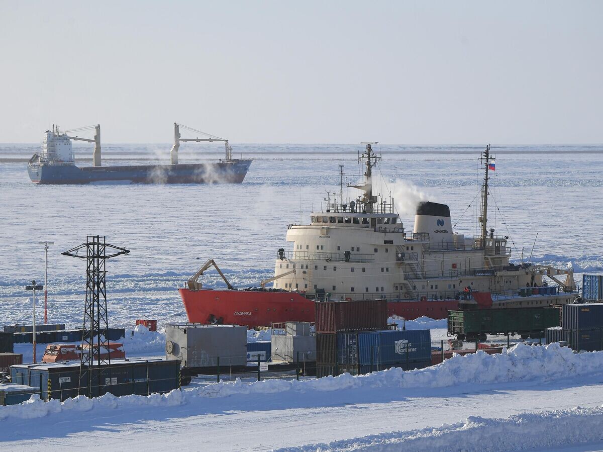    Корабли в морском порту Дудинка© РИА Новости / Светлана Шевченко
