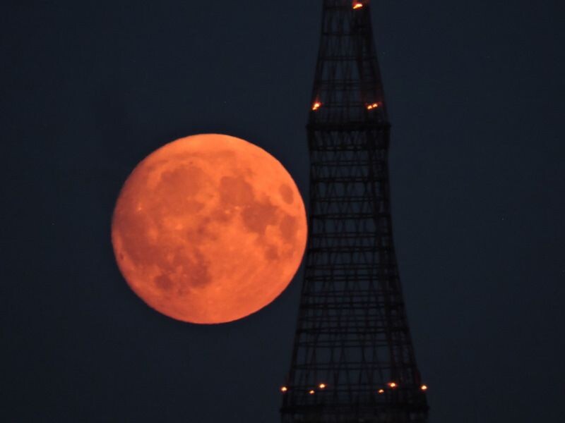 Фото: Евгения Шарова, Москва