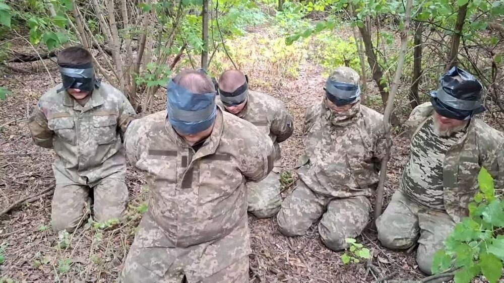 Военнослужащие ВСУ, взятые в плен на Курском фронте. Источник: kherson-news.ru.
