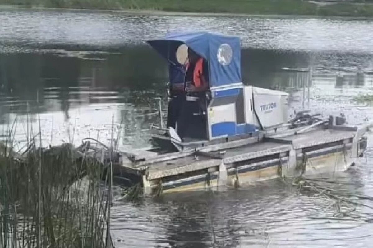    Южный пруд в Тюмени очищают от растительности