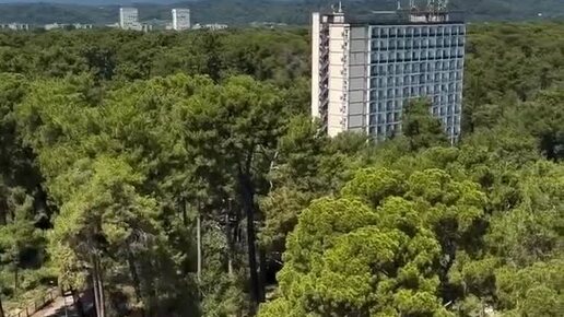 Температура моря в абхазии сейчас в пицунде. Температура моря в абхазии сейчас в пицунде