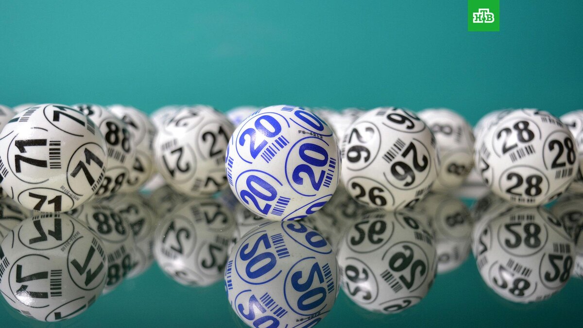    Фото: Alejandro Garay / unsplash.com