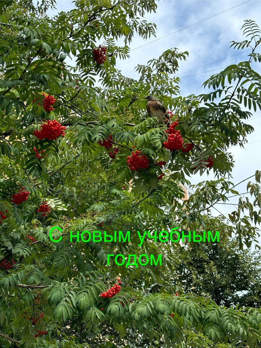 личный архив