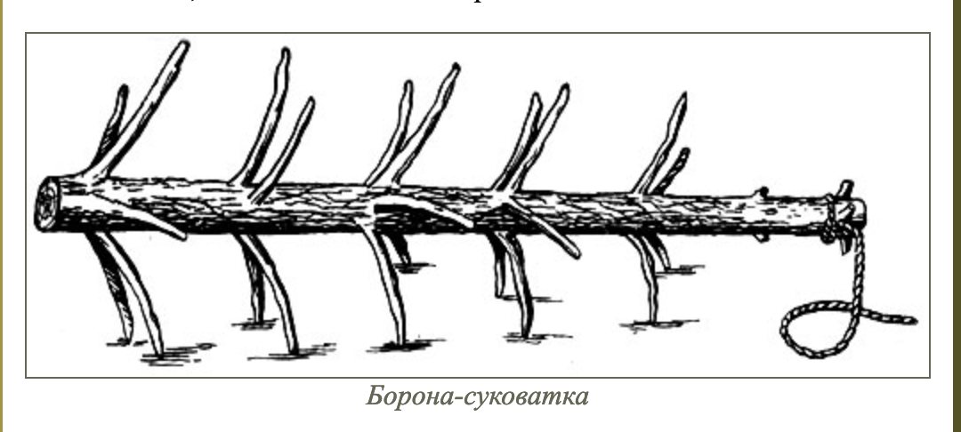 http://agrolib.ru/books/item/f00/s00/z0000011/st013.shtml