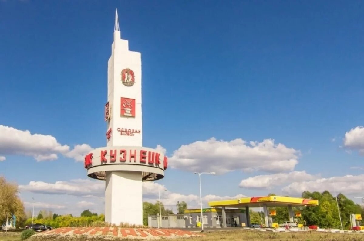    В Кузнецке собаки атаковали детский садик №19