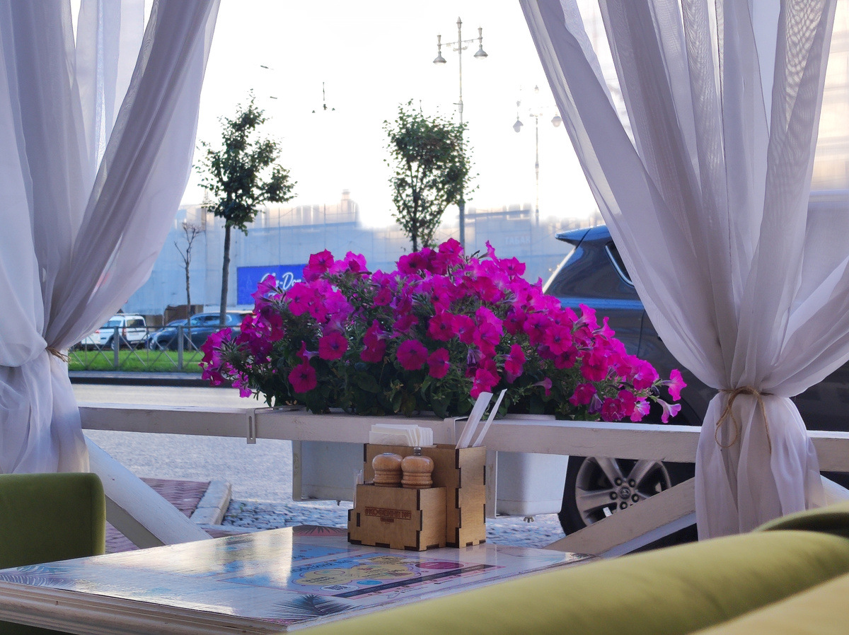 Фото автора, Санкт-Петербург, август 2024 года