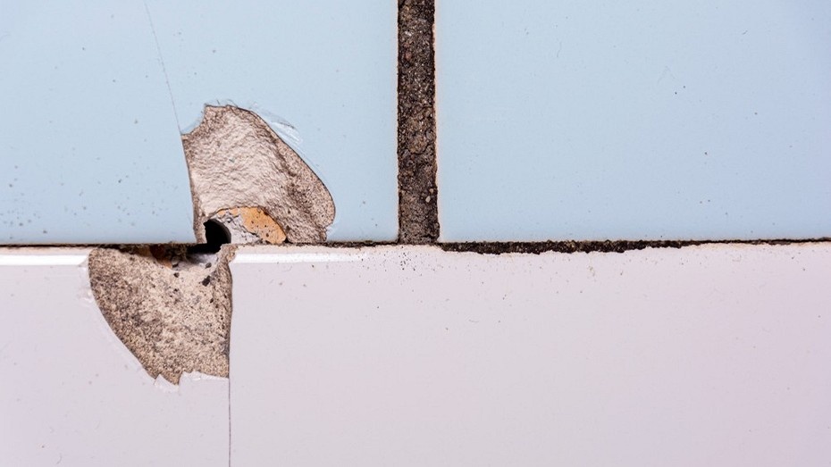 ShutterStock/Fotodom.ru