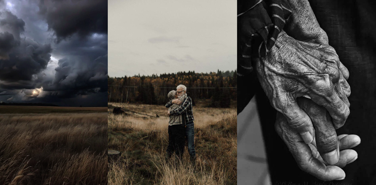 Эстетика истории