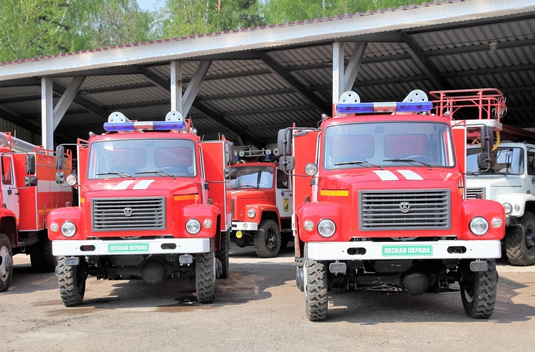    Фото: Госкомитет РТ по биологическим ресурсам