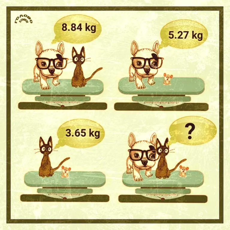 Головоломка на логику