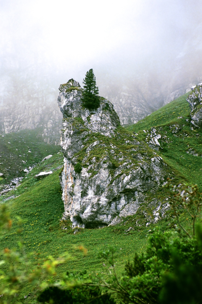 Утёс. Фото автора.