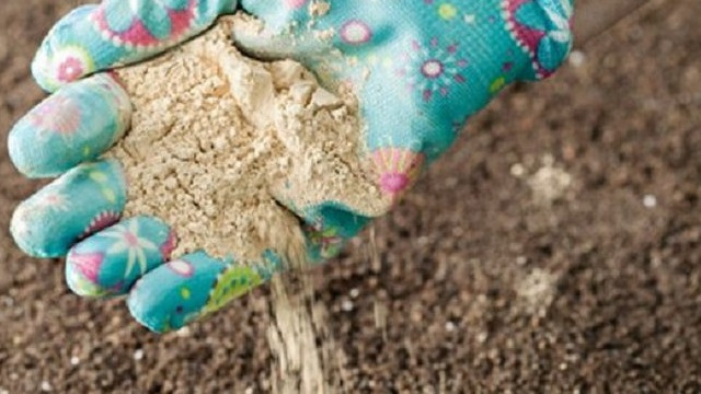 Мой опыт применения доломитовой муки в саду, на огороде и в теплице