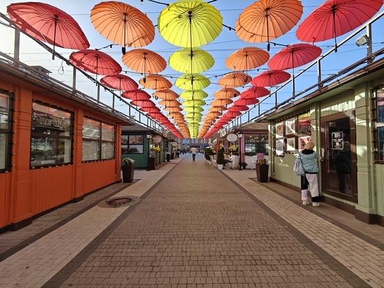    Фото: Юрий Серебренников/BFM Кубань
