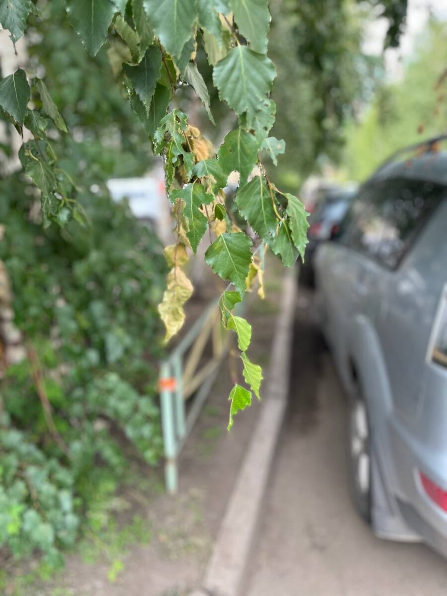 Уже видны первые признаки осени...