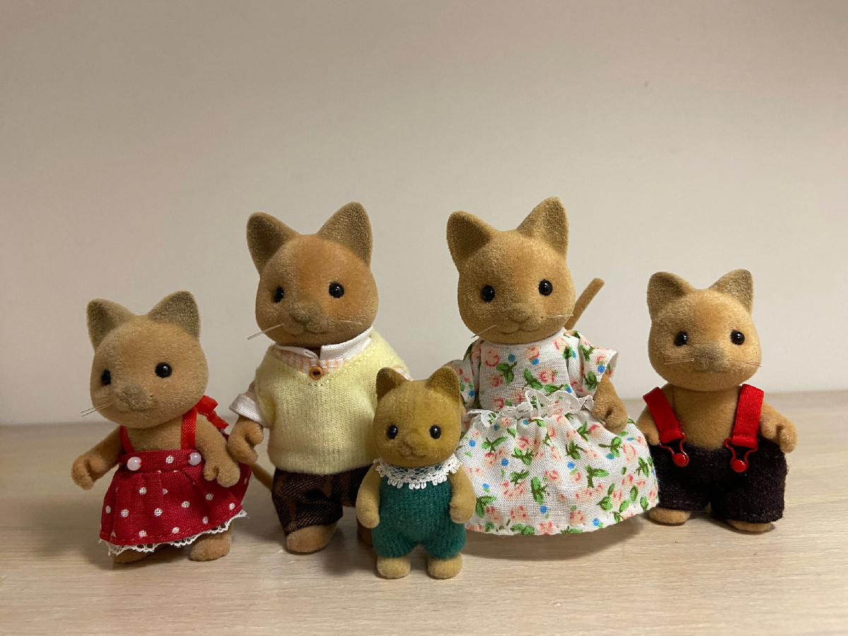 Моя семья с перекрашенным малышом 