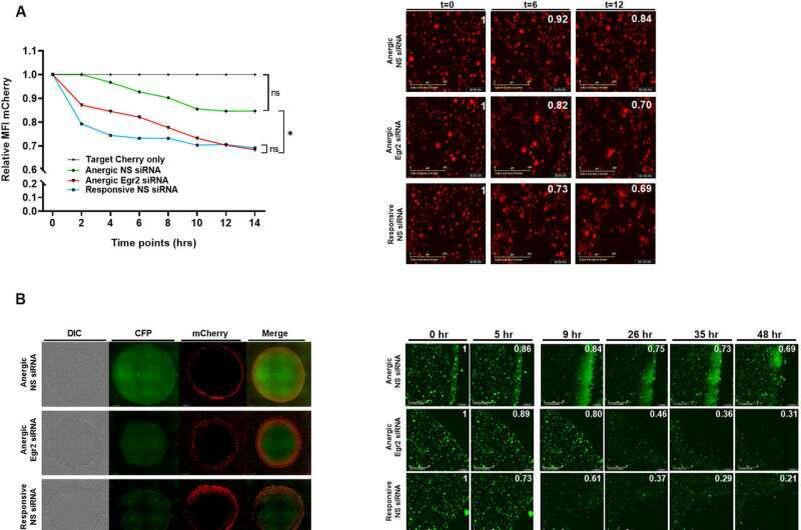    The EMBO Journal