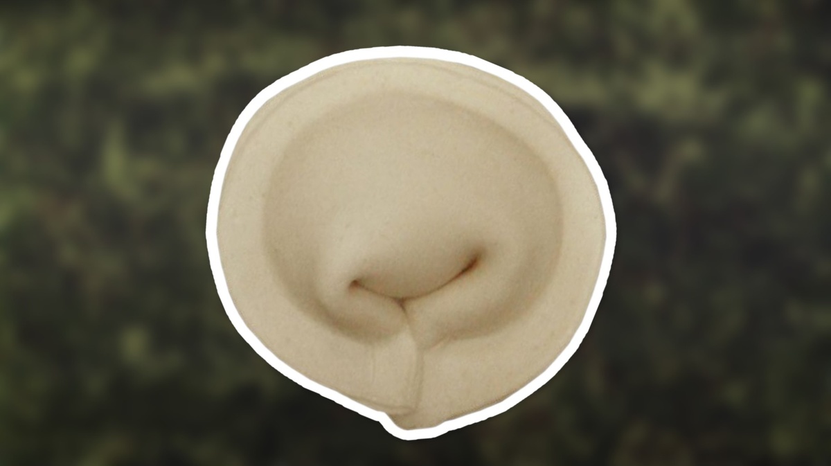 Какое самое не любимое блюда у курсантов?